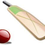 Bilaspur Cricket News: राजनांदगांव को हराने बिलासपुर ब्लू के गेंदबाज भिड़े, शाम तक आएगा रिजल्ट