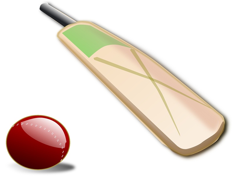 Bilaspur Cricket News: राजनांदगांव को हराने बिलासपुर ब्लू के गेंदबाज भिड़े, शाम तक आएगा रिजल्ट
