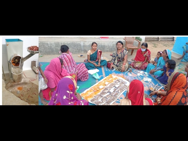 Bilaspur News: मसालों की महक ने लाया महिलाओं के जीवन में बदलाव, स्वावलंबन की बनीं मिसाल
