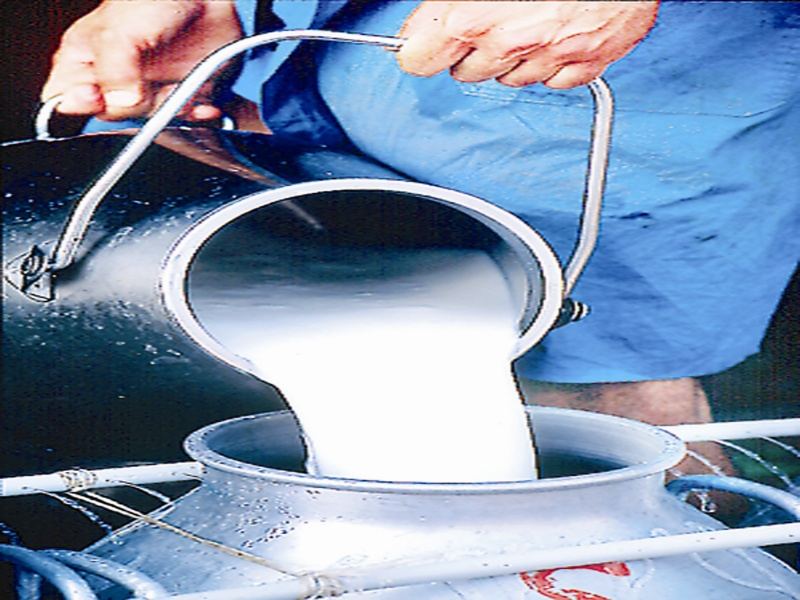 Gwalior Milk News: 11 मार्च से दो रुपये लीटर महंगा होगा खुला दूध