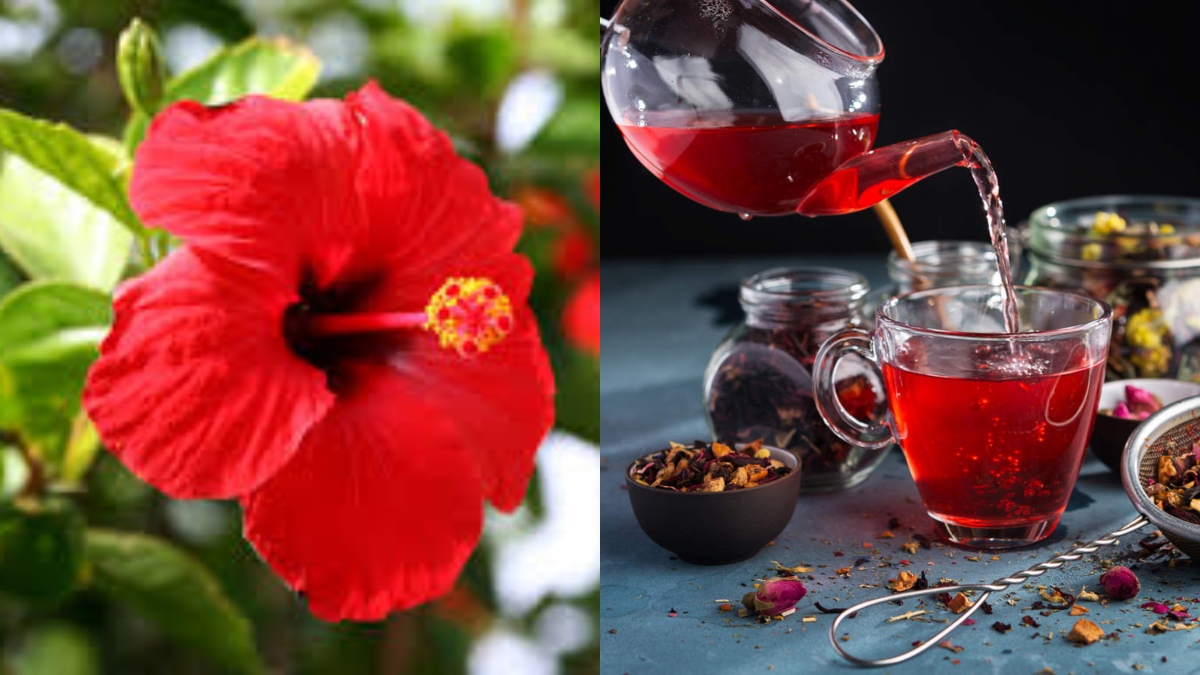 Hibiscus Tea |  If blood pressure suddenly rises, drink tea from this flower.  Navabharat