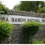 IGNOU Admit Card |  NTA will soon issue PHD entrance admit card, here's how to download entrance exam slip.  Navabharat