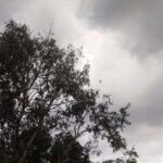 MP Weather Alert: लगातार बदल रहा हवा का रुख, जबलपुर और शहडोल संभाग में हल्‍की बारिश की संभावना
