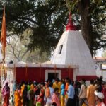 Mahashivratri 2022: बिलासपुर के शिवालयों में गूंजा भोलेनाथ का गुणगान, मंदिरों में भक्तों की लगी भीड़