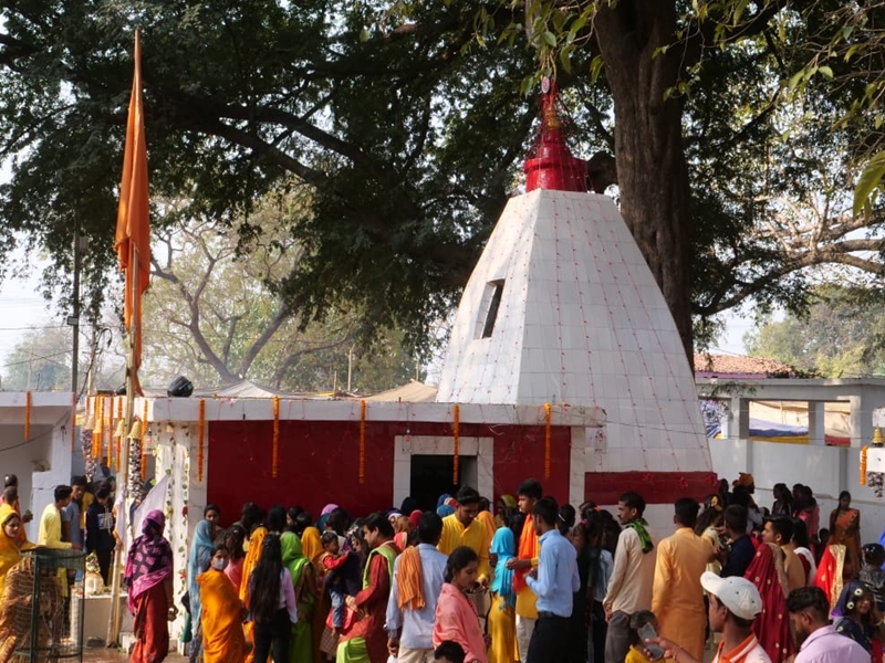 Mahashivratri 2022: बिलासपुर के शिवालयों में गूंजा भोलेनाथ का गुणगान, मंदिरों में भक्तों की लगी भीड़