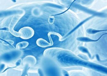 Turkish businessman claims his sperm stolen, HST, In Vitro Fertilization, Sperm