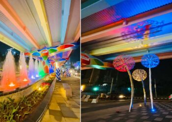 Mumbai Flyovers Colorful |  Mumbai's flyovers will be colorful, painted according to the theme of birds, forests and mountains.  Navabharat