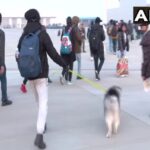 Russia Ukraine Crisis Live: दोस्त के कुत्ते को भी बचा लाया भारतीय छात्र, जानें हर अपडेट