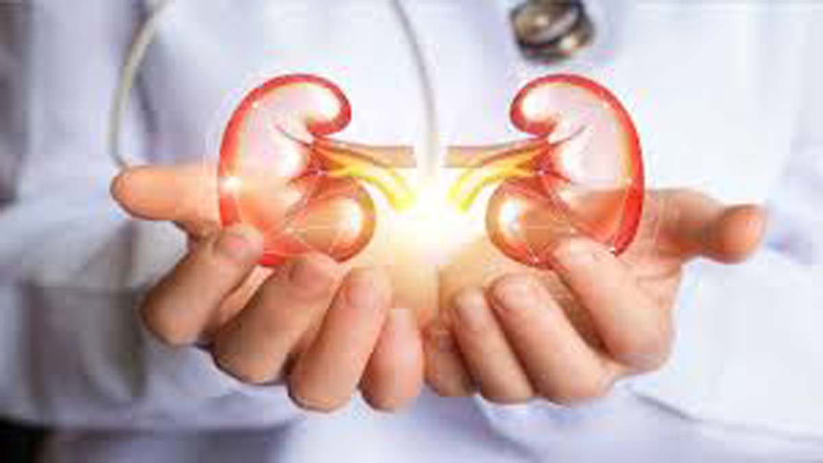 World Kidney Day 2022 |  Kidney is becoming a silent killer, pay attention in time.  Navabharat