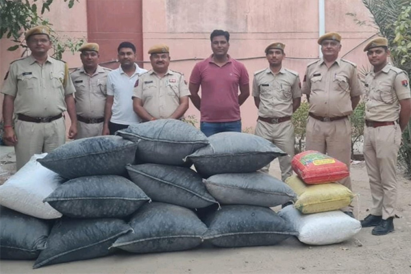 236 kg doda poppy stuffed in 14 bags being smuggled in a car and number plates of different numbers seized - Jalore News in Hindi
