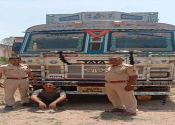 Chittorgarh police caught a truck full of khair wood worth 80 lakhs, a smuggler arrested - Jaipur News in Hindi