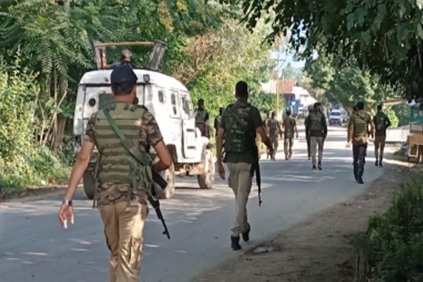 J&K, Pulwama, Jaish terror module busted, 3 terrorist associates arrested - Srinagar News in Hindi