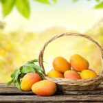 Mango for weight loss, weight loss diet, weight loss food