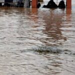 Big U-turn of BJP government of Gujarat after Center: Tapi-Narmada river linking project canceled, Congress took credit
