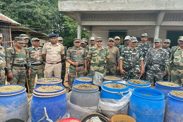 Big action of BSF in Tripura, narcotics worth crores recovered - Delhi News in Hindi