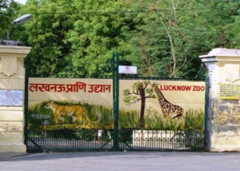 Lucknow zoo employee missing, police not aware - Lucknow News in Hindi