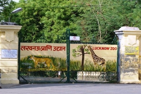 Lucknow zoo employee missing, police not aware - Lucknow News in Hindi