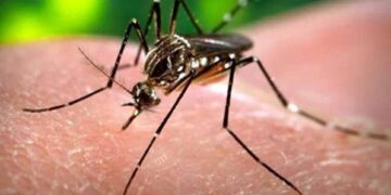 National Dengue Day 2022, Dengue symptoms and 7 warning signs of dengue, fever
