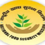 Portal opened for 15 days in National Food Security Scheme - Jaipur News in Hindi