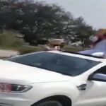 Bhagwant Mann's stuntman, Transport Minister, performed the stunt sitting on the sunroof of the car, the video went viral, Punjab's Transport Minister Laljit Singh Bhullar