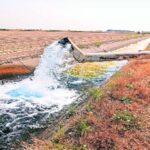 California: MPs will buy water rights from farmers