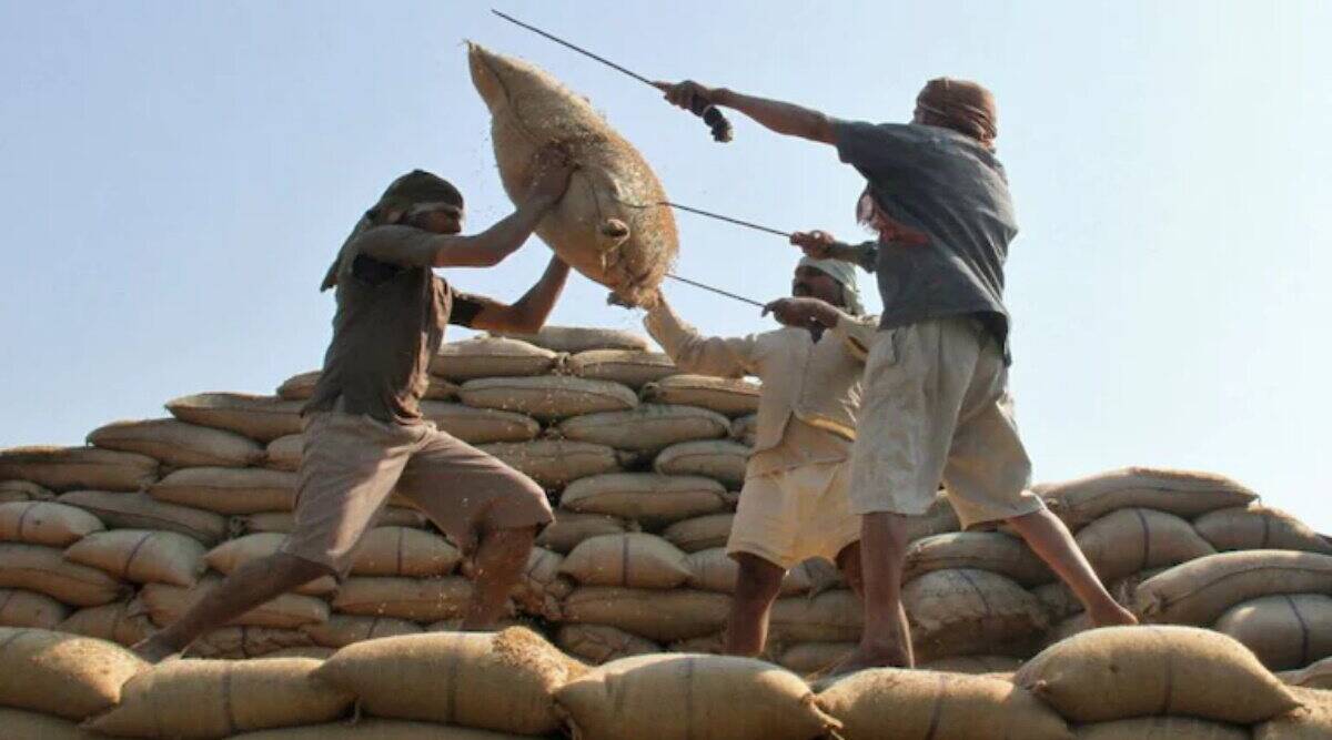Food Secretary said No plan to export rice its stock in the country