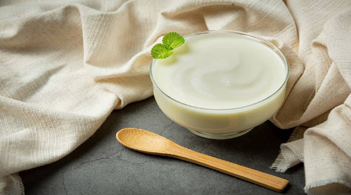 Is curd is good for uric acid patient?know the ayurvedic opinion-Uric Acid: Can uric acid patients eat curd?  Know what Ayurveda says