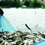 Fish farming can be started at low cost, under this scheme the government is giving 60 percent subsidy