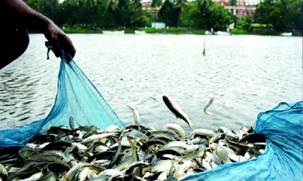 Fish farming can be started at low cost, under this scheme the government is giving 60 percent subsidy