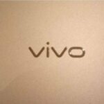 44 raids in two days Vivo Chinese director fled from India amid investigation going on in money laundering case