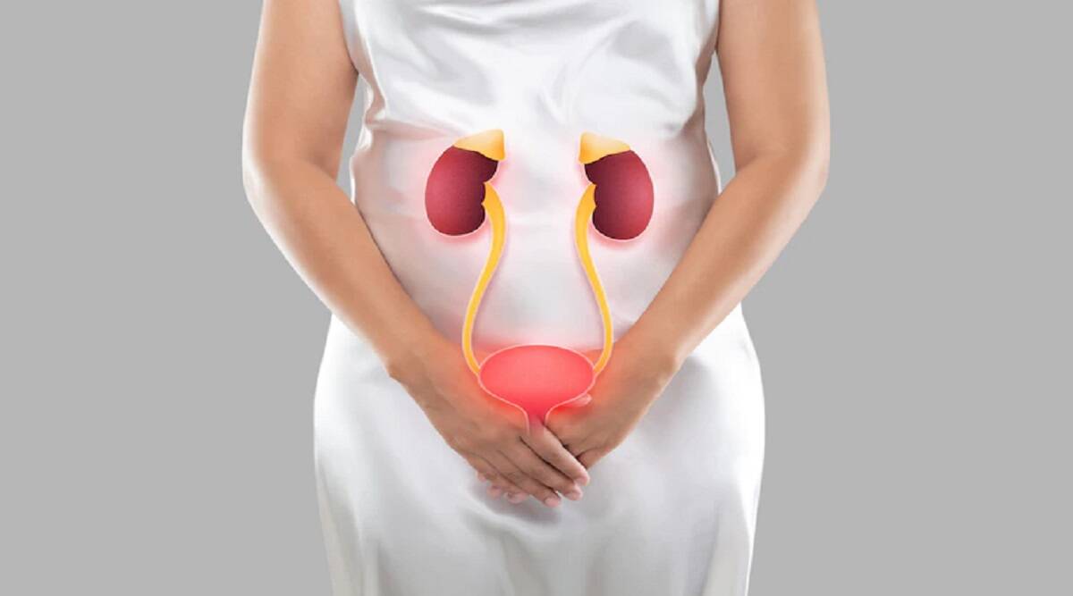 7 Tips to Protecting Kidney Health-Kidney Cure: If you want to avoid kidney failure, then take care of it with these 7 measures