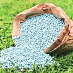 Morocco: Large center of export of phosphorus fertilizers - Morocco: Large center of export of phosphorus fertilizers