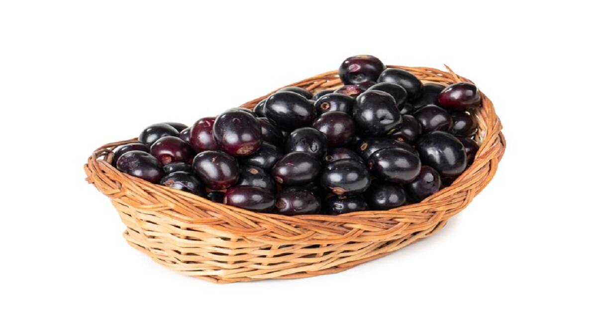 Myths and Facts Water should not be drunk after eating Jamun what is the truth- Water should not be drunk after eating Jamun?  what is the truth