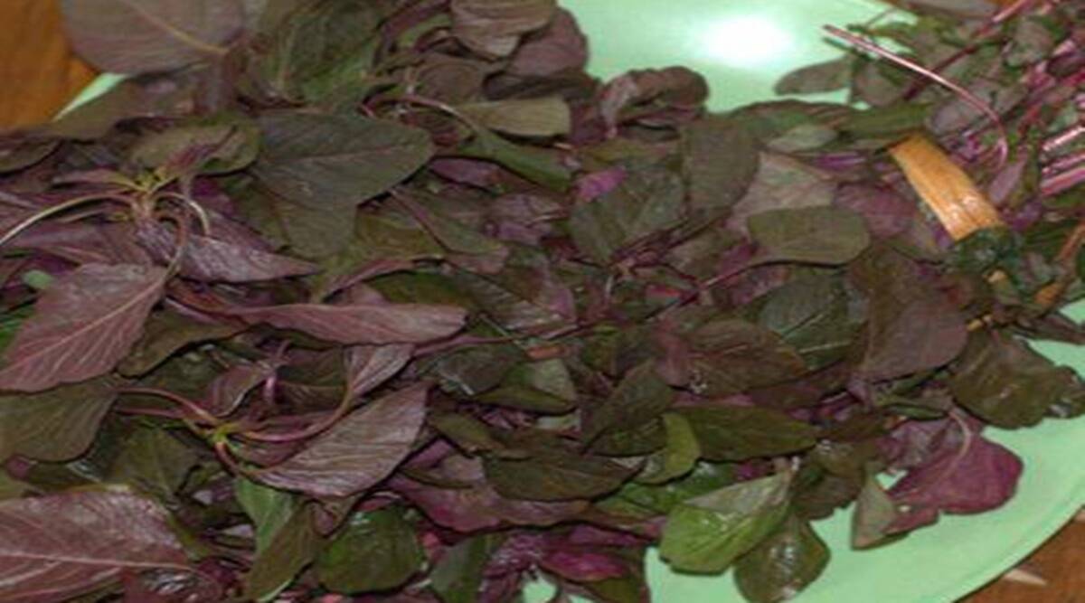 Summer's amaranth removes calcium deficiency very beneficial for sugar patients