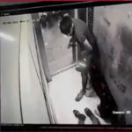 The terror of pet dogs in the lift is not stopping, after Ghaziabad, now a person is attacked in Noida too, CCTV footage goes viral, The terror of pet dogs in the lift is not stopping, after Ghaziabad, now a person is attacked in Noida too