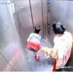 Video, After the dog bite in the lift, the innocent woman was suffering from pain, yet the woman kept watching