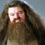 Harry Potter' fame Robbie Coltrane is no more, breathed his last at the age of 72