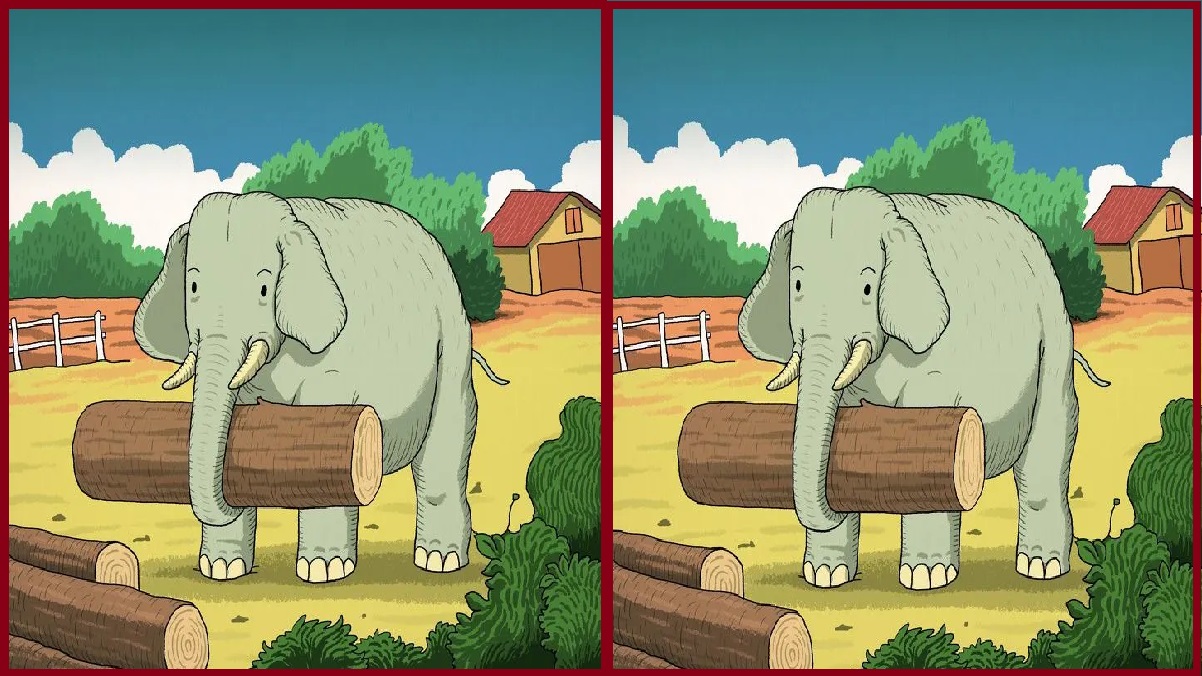 In addition to the elephant, a small animal is hidden in this picture, if found and shown, you will be called brainy
