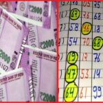 Satta King Result 2023: Did you also trust these numbers?  If yes, how did you get lucky?  Check March 12 Winning Numbers