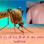 Dengue Tips