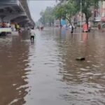 Gujarat Weather: Heavy rains wreak havoc in Gujarat, 14 people died, so many cattle lost their lives.