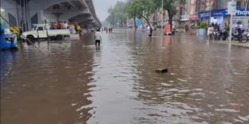 Gujarat Weather: Heavy rains wreak havoc in Gujarat, 14 people died, so many cattle lost their lives.