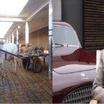 Watch Video: See how 'Ramu' bull does all the work himself, industrialist Anand Mahindra also became a fan, called him a motivational speaker