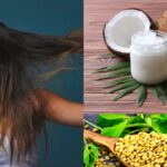 Make homemade oil by mixing these two special things in coconut oil, use it on bald head - India TV Hindi