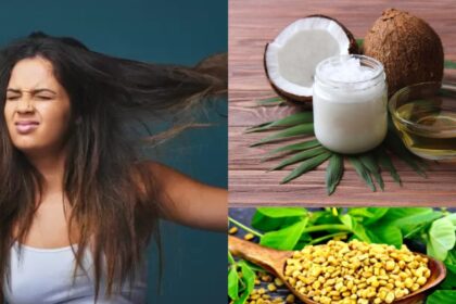 Make homemade oil by mixing these two special things in coconut oil, use it on bald head - India TV Hindi