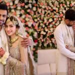 Shoaib Malik married Sania Mirza for the third time amid rumors of divorce, made the actress his life partner - India TV Hindi