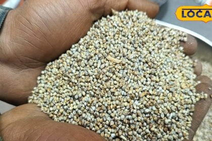 This grain is a 'superfood', it is rich in nutrients, beneficial for diabetes and heart.