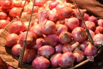 Onion Export Ban Continues: The ban on onion export has not been lifted, after the increase in prices, the central government denied the news, Onion Export Ban Continues says centre