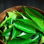 Curry leaves are not trivial in enhancing the taste of food, they are also beneficial for health, can keep many diseases away.