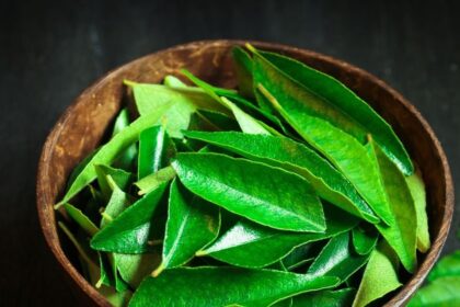 Curry leaves are not trivial in enhancing the taste of food, they are also beneficial for health, can keep many diseases away.